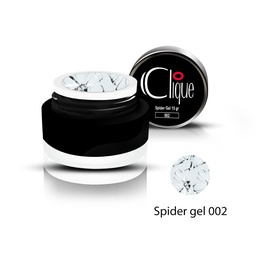 [CLSG002] Spider 002